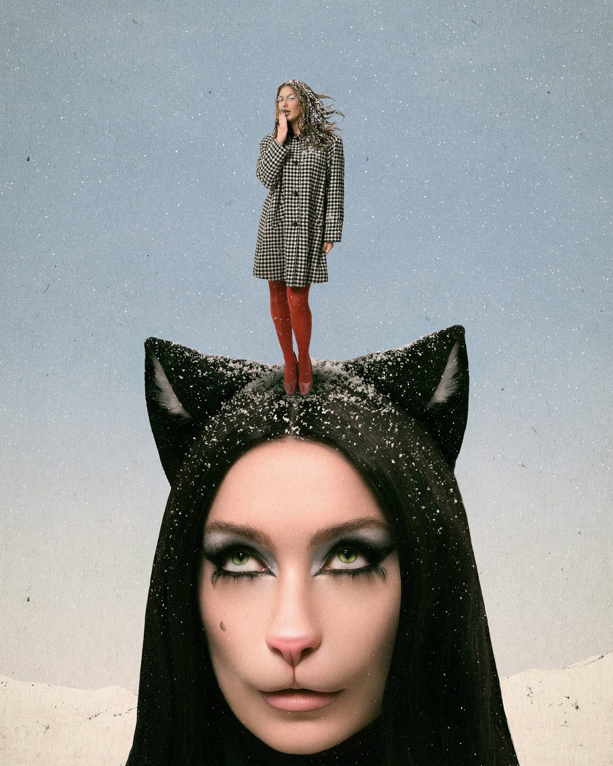 THE YULE CAT — photo 3 by Edgars Hecmatyars
